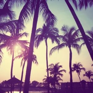 Meet your Posher, Layla